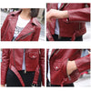 Women's Sport Straight-Line Jacket with Liner