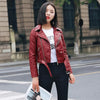 Women's Sport Straight-Line Jacket with Liner