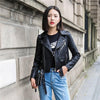 Women's Sport Straight-Line Jacket with Liner