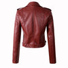 Women Sleek Vented Jacket