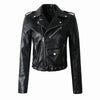 Women Sleek Vented Jacket