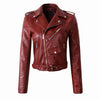 Women Sleek Vented Jacket