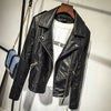 Women's Sport Straight-Line Jacket with Liner