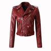 Women Sleek Vented Jacket