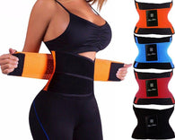 Miss Moly Sweat Waist Trainer